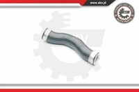 Esen SKV Ladeluftschlauch Passend FüR VW Touran 1T1 1T2 1.4 TSI Golf VI 5K1