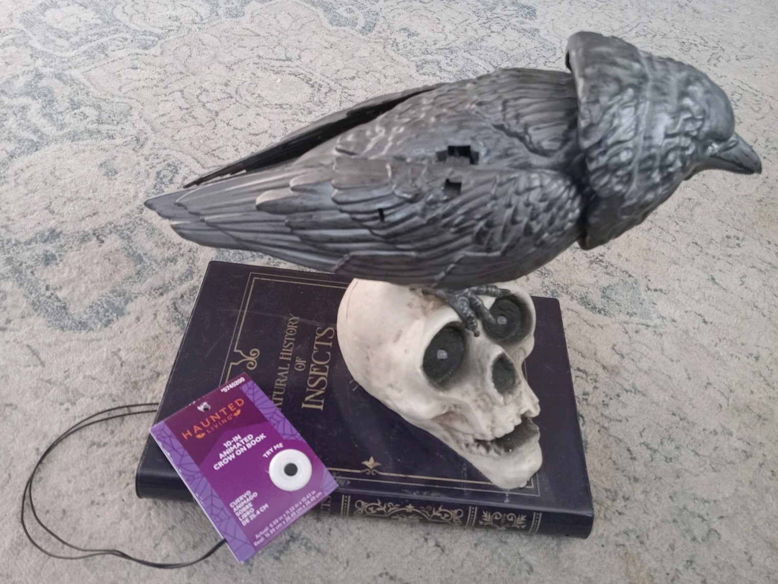 Cuervo animado en calavera y libro nuevo con etiqueta graznando con ojos iluminados 12 pulgadas