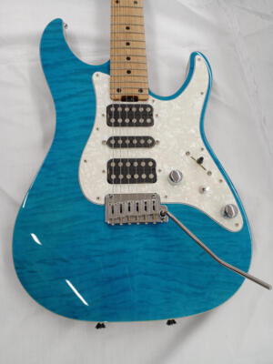SCHECTER SD-2-24-AL-VTR-FM ILB RM Electric Guitar | eBay