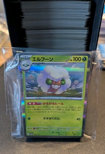 Terastal Festival ex Holo Set Pokemon (39 Cards) 