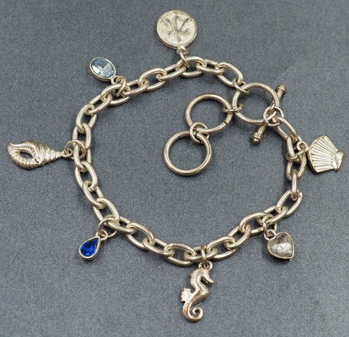Sterling Silver Charm Bracelet 