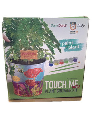 Small Container Gardening Dan/Darci Paint&Plant Touch Me Not Plant Grow Kit