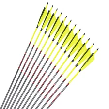 12pcs 32" Carbon Arrows SP250-600 5" Turkey Feather Traditional Compound Bow