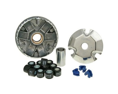 Variomatik POLINI Speed Control ECO KIT, kompatibel für HONDA Zoomer 50 4T AF66