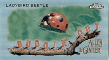 2020  ALLEN AND GINTER CHROME MINI BUGGIN OUT #MBOC1 LADYBIRD BEETLE