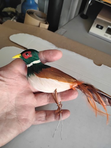 VINTAGE Feathered Pheasant Bird Ornament Figurine Wire Feet