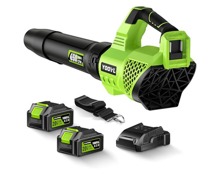 Cordless Leaf Blower 650CFM 20V w/ 2 Batteries Charger 3 Speed Lawn Patio YOOVL