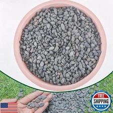 CJGQ 2.4lb River Rocks Pebbles for Plants and Succulents, Decorative Outdoor 