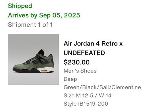 Nike Air Jordan 4 Retro Undefeated Mens 12.5 Deep Green IB1519-200 PREORDER 9/5