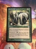 MTG Call of the Herd x1 Time Spiral Timeshifted LP, Magic the Gathering