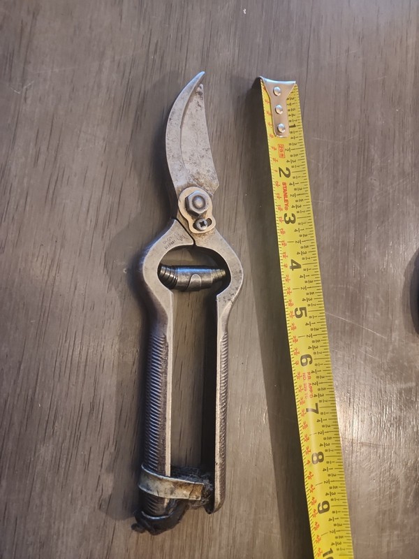 Old German  Kunde & Cie Remscheid Secateurs Pruning Shears