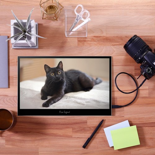 PM161Q Bbmiuux 15.6" Full HD 1920 x 1080 IPS Business Slim Portable Monitor |... - Picture 5 of 9