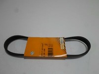 Riemen Poly-V-Gerippt Belt Contitech Citroen Jumper Fiat Ducato Peugeot 306