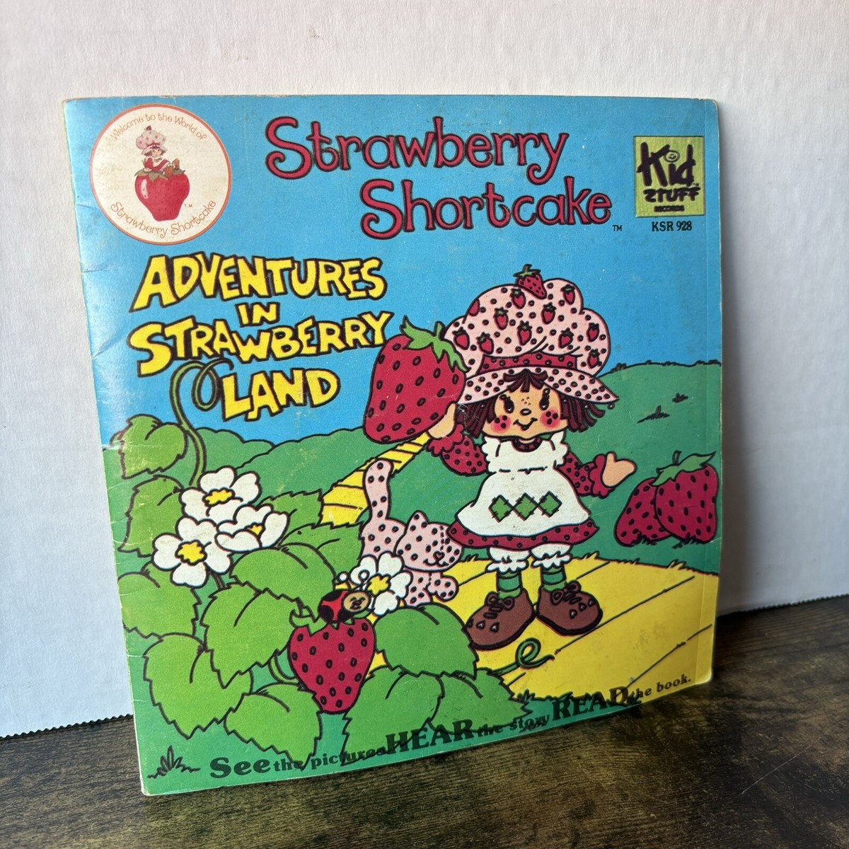 VINTAGE 1980 STRAWBERRY SHORTCAKE ADVENTURES IN STRAWBERRY LAND