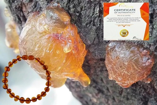 Genuine Amber Bracelet Necklace Anklet Real Beads Multicolor Unpolished Boy Girl - Picture 45 of 138