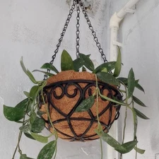 Coconut Brown Hanging Basket – Round Iron Chain Flowerpot for Green Plants & Hom