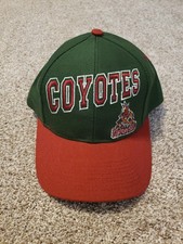 Vintage Phoenix Coyotes Twins Enterprise Snapback Hat