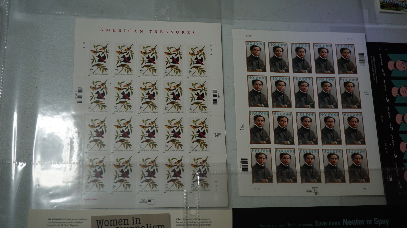 Picture 6 of 13