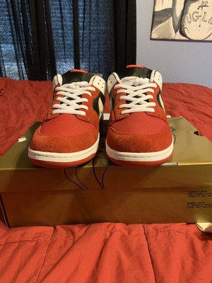 warren lotas pigeons