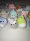 Squishmallow Squishville Ty Cats Vs Pickles And More Lot of 17 Mixed Lot — photo 4