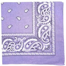 Extra Large 27x27 Inch Cotton Paisley Bandana Handkerchief Headband Men