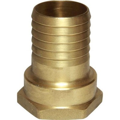 Maestrini Messing Gerade Schlauchanschluss (3.2cm Bsp Buchse Zu 35mm Schlauch)