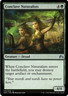 Conclave Naturalists 171/272 Magic Origins MTG Uncommon