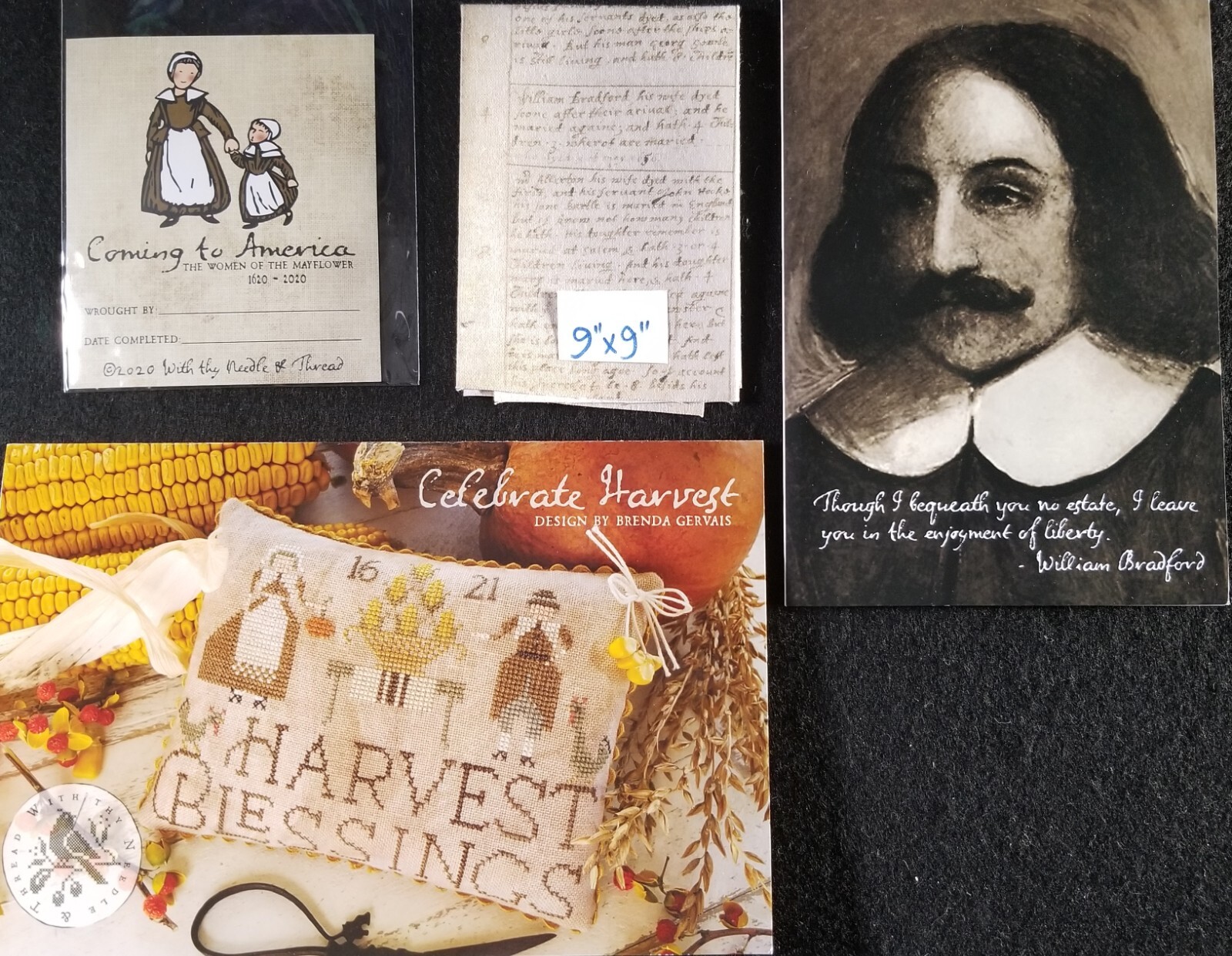 8x Cross Stitch CHART HISTORIC NEEDLEWORK GUILD/Historic SamplersZW4