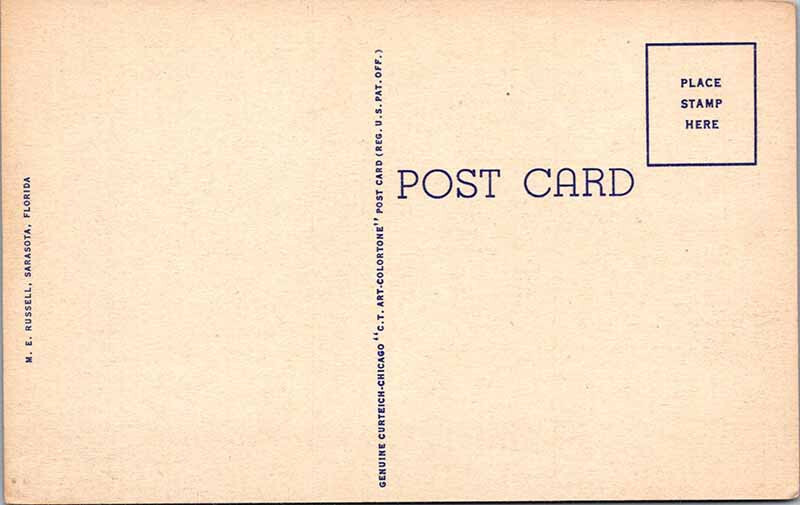 Postcard ANIMAL SCENE Sarasota Florida FL 10/11 AK7506 eBay