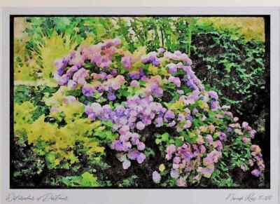 Garten 131065 Hortensie Macrophylla (blau) A3 Aquarelldruck