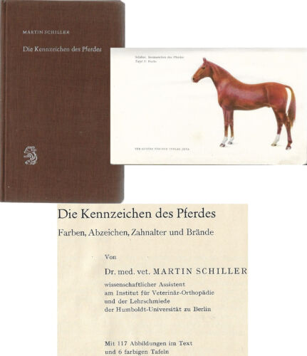 Pferde "Die Kennzeichen des Pferdes" ( Farben,Abzeichen,Zahnalter,Brände ) 1959 - Bild 1 von 5