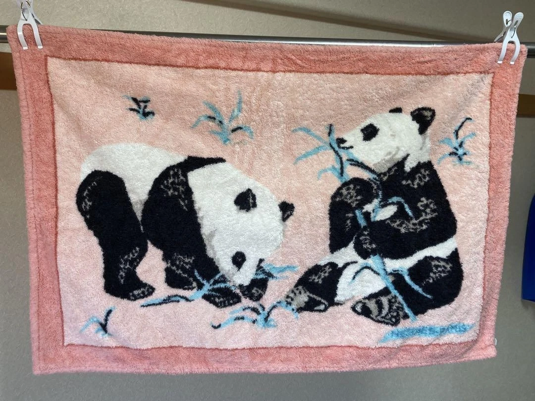 HERMÈS Bath Bath Towels for sale | eBay