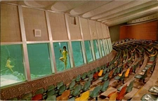 Spring Hill Florida FL : RISQUE - WEEKI WACHEE TOURIST ATTRACTION n/24 BI1402