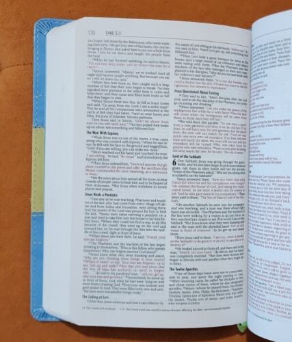 HEILIGE BIBEL NIV italienisches Duo Ton blau & Chartreuse roter Buchstabe Zondervan 2001 - Bild 11 von 11