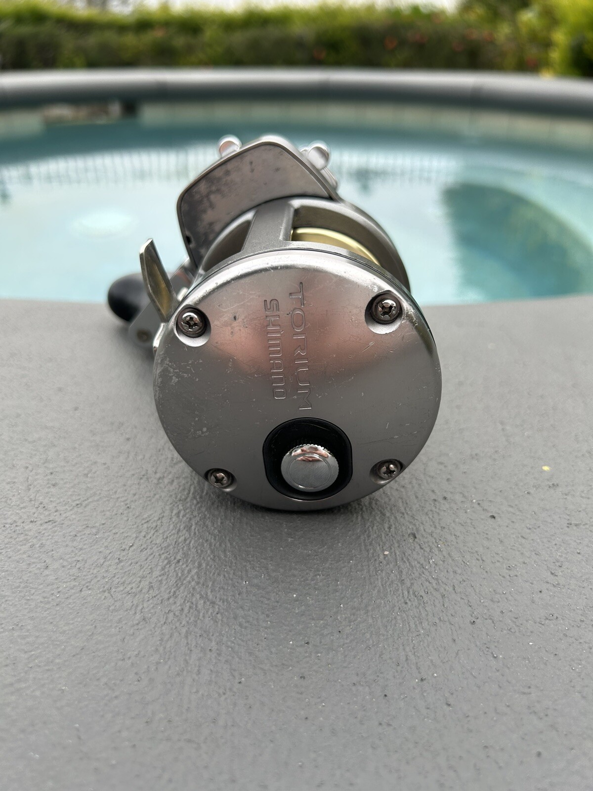 Shimano Torium 20