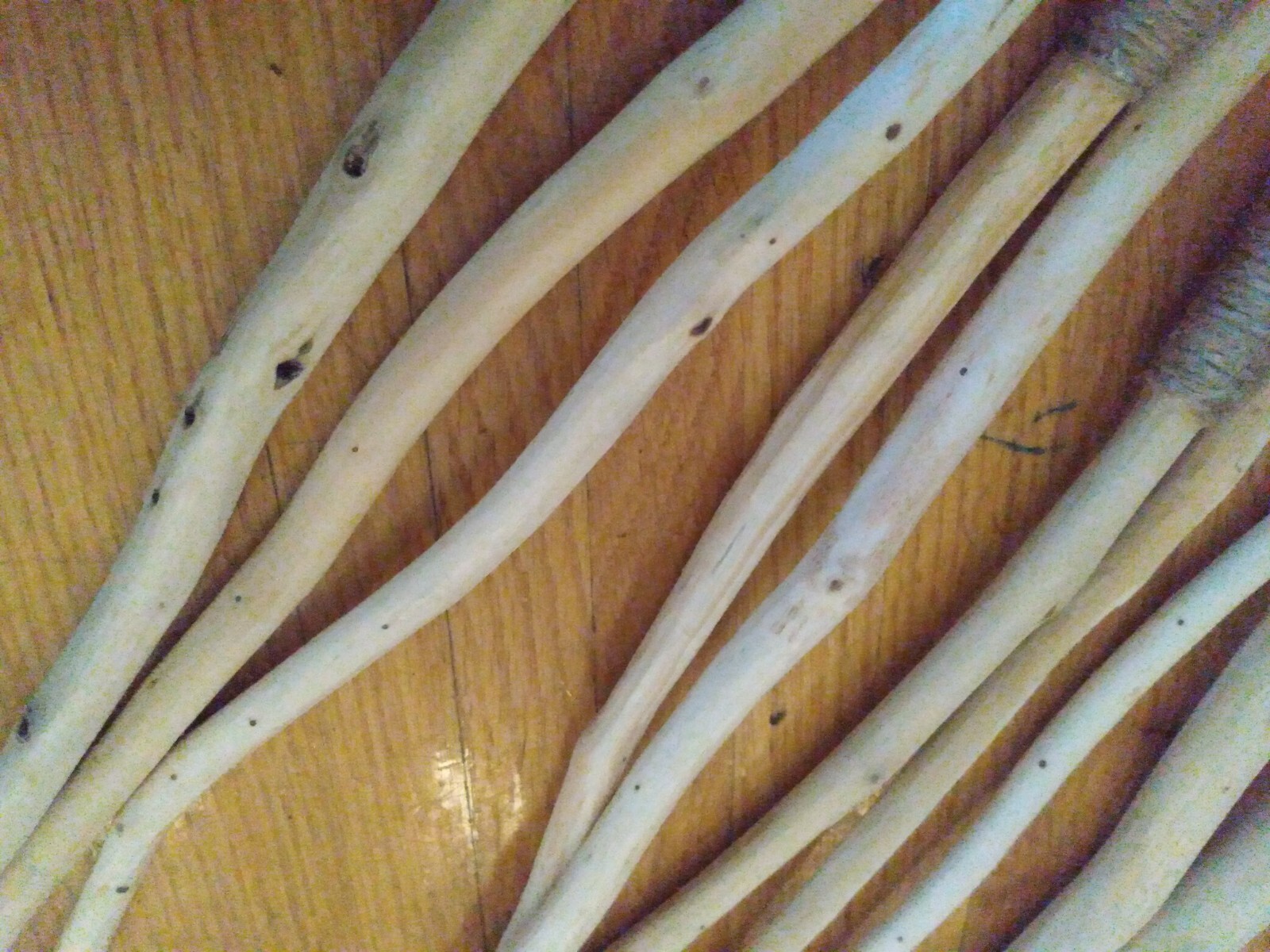 14 Handmade Magic Wands made from Eastern Hemlock Tree Wood Branches | eBay