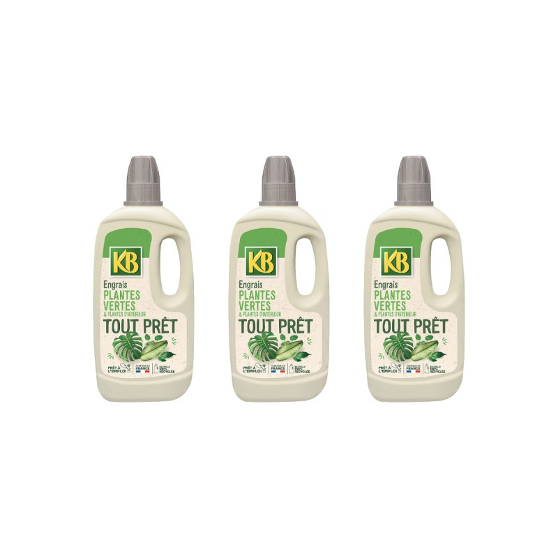 Engrais plantes vertes KB 1L pour sublimer votre salon urbain