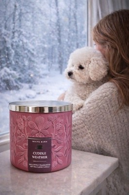 Bath & Body Works Cuddle Weather 3 Wick 14.5 oz Fall Gingerbread Cozy Blanket