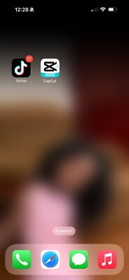 iPhone 16 Pro Max With TikTok And CapCut Installed , Used Only 2month