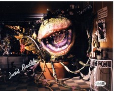 David Bulbeck signed 8x10 Photo Puppeteer - Little Shop of JSA Authentication