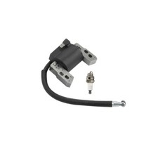 Ignition Coil with spark plug 796964 695711 5...