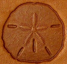 CRAFTOOL - TANDY LEATHER FACTORY - 3D STAMP - 8681-00 - SAND DOLLAR