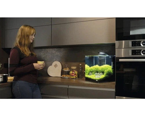 Aquarium DENNERLE Nano Cube 30 l mit schwarzer Rückwandfolie, Schaumstoffunterla - Bild 3 von 4