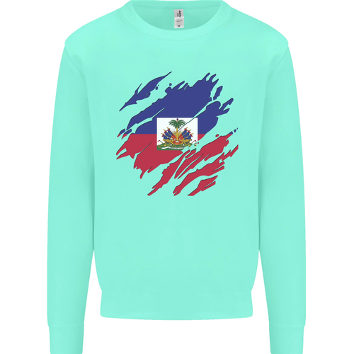 Torn Haiti Flag Haitian Day Football Kids Sweatshirt Jumper - 第 30/97 張圖片