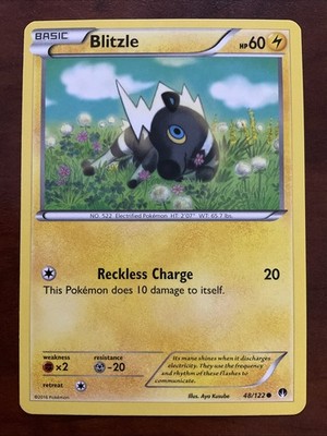 Blitzle 48/122 Breakpoint Regular