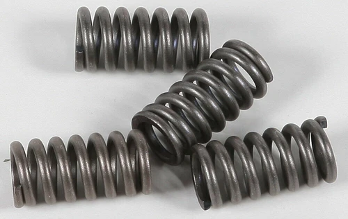 EBC CSK12 CSK Clutch Spring Kit