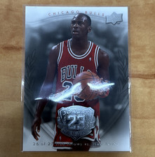 Upper Deck 2009-10 Jordan Legacy Michael Jordan #7 Chicago Bulls NBA Card