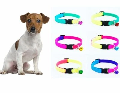 Small Dog/Puppy Adjustable 'Luminous/Rainbow Coloured' Safety Collar With Bell