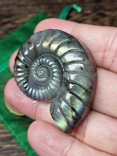 Hand Carved Rainbow Flash Labradorite Ammonite Carving 45mm 28g - Picture 4 of 9