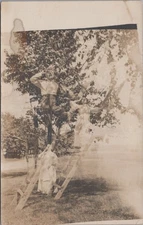 Fruit Tree Kidders New York 1909 RPPC Real Photo Postcard